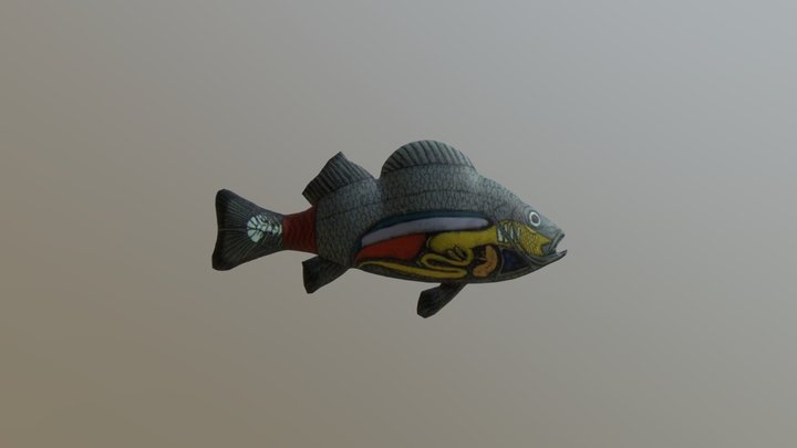 Sistem Pencernaan Ikan 3D By Oki Siwi 3D Model