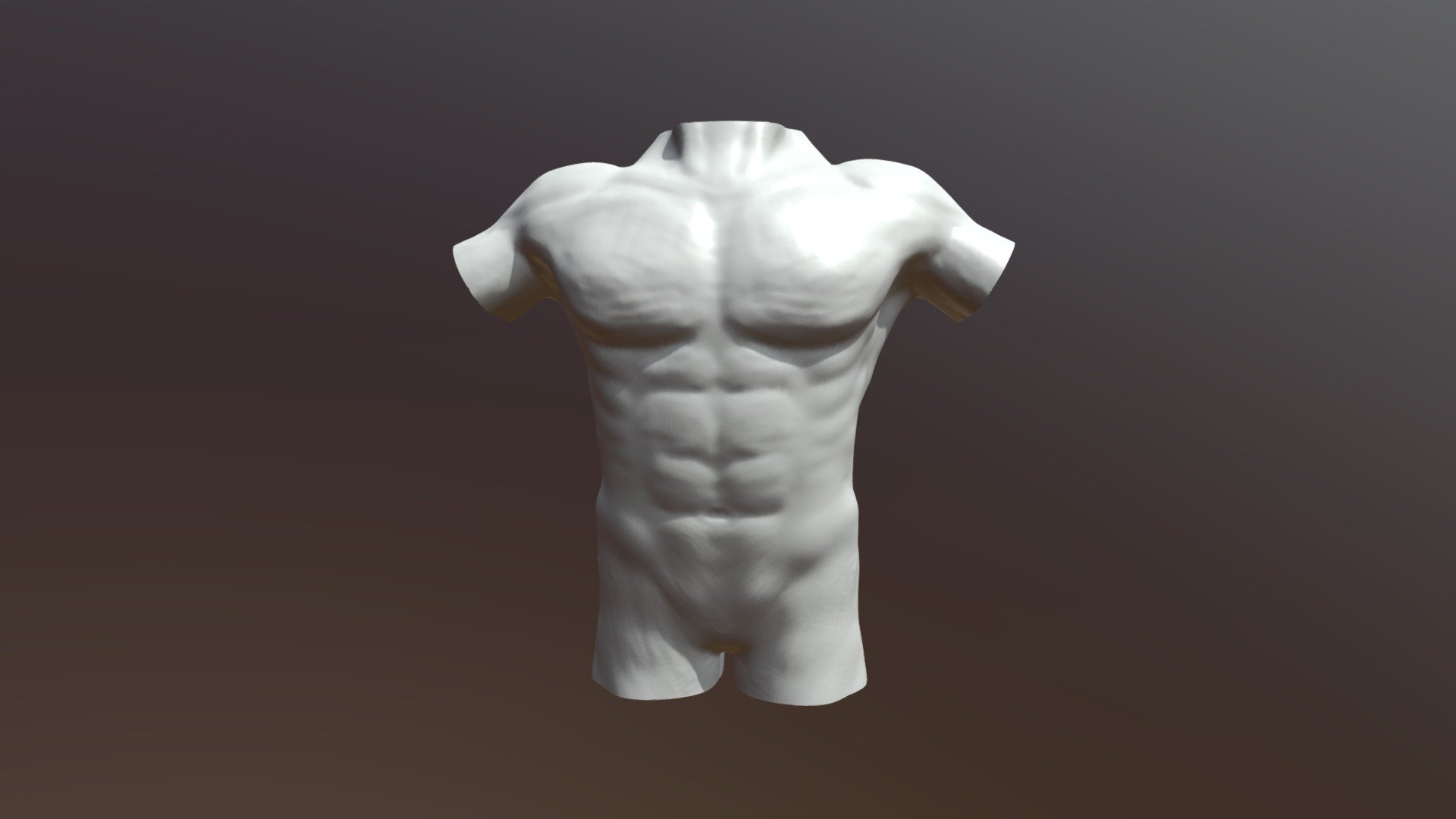 2nd Torso