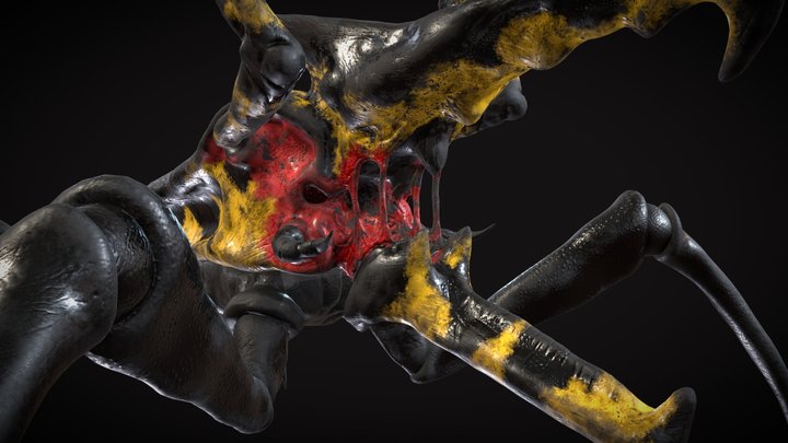 ZWarrior 3D Model