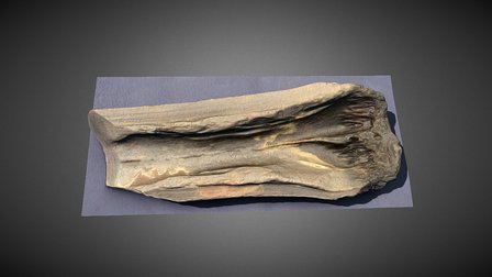 117715 1m texture 3D Model
