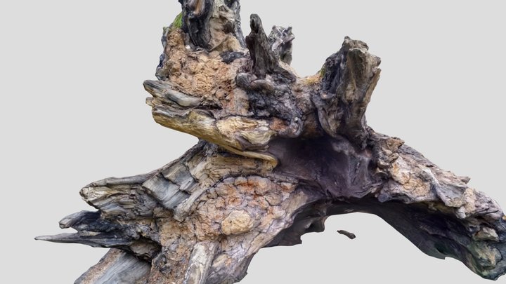 Big fallen tree Kiri with mask – Modèle 3D gratuit STL