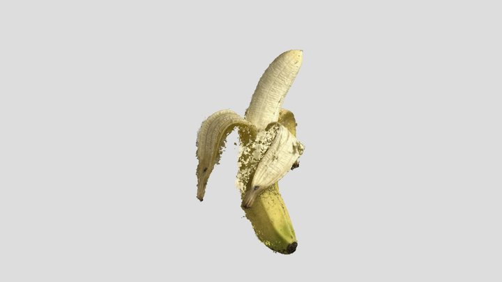 Banana Model 2 3D Model