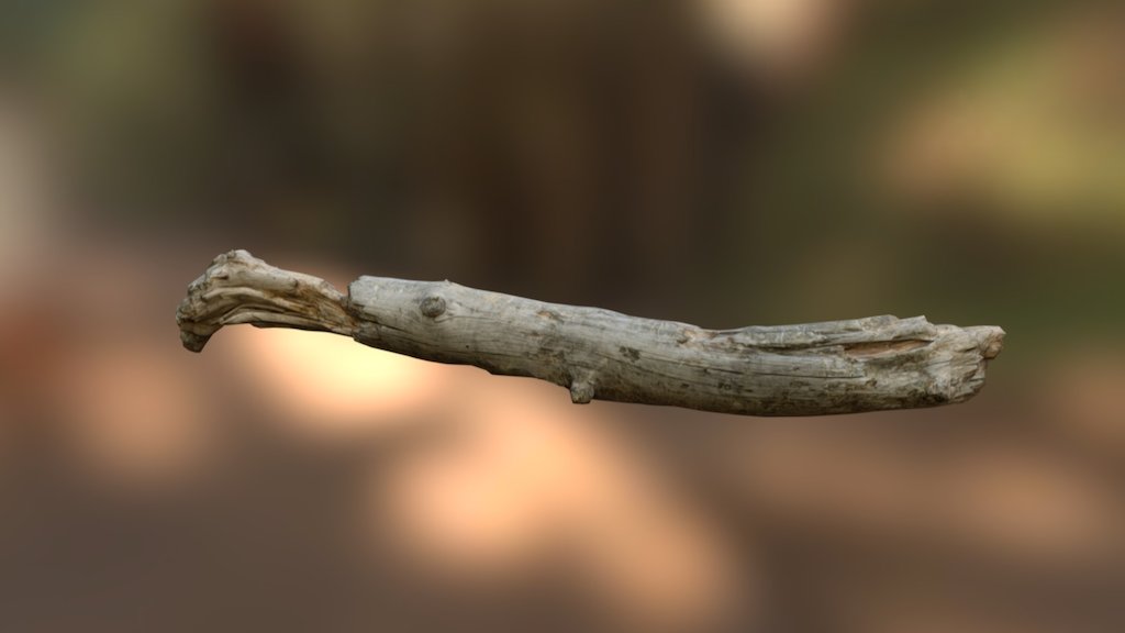 Dune branch