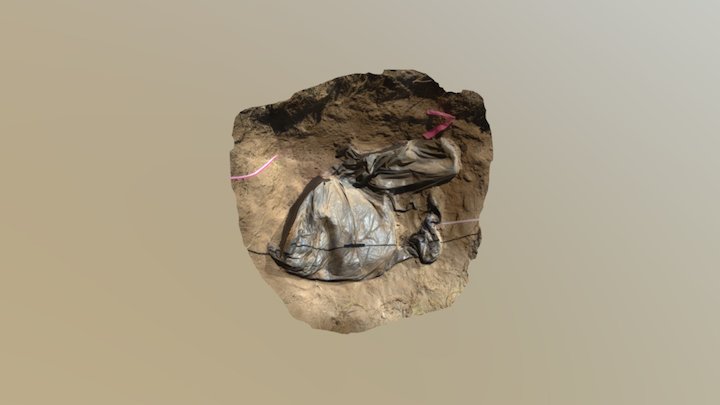 Ashley Grossman burial site 3D Model