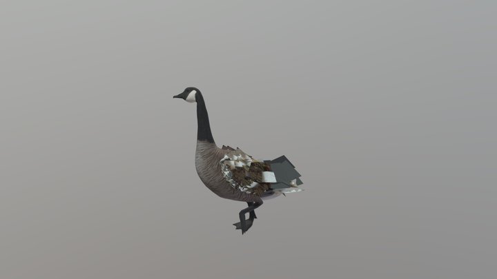 Canada Goose From COTW Game – Modello 3D gratuito STL