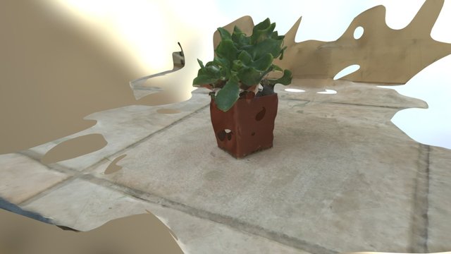 Succulent Pot 3D Model