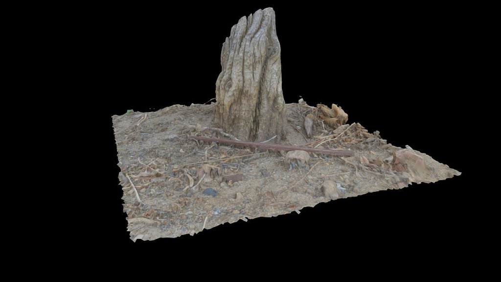 Bush Stump - Macrophotogrammetry Test