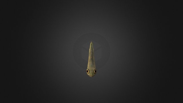 Conodonta 3D Model