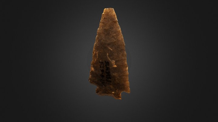 Yonkee Projectile Point 3D Model