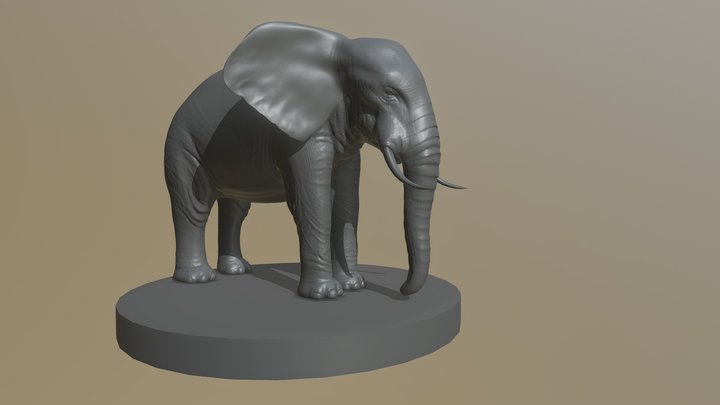 African Elephant 3D Model