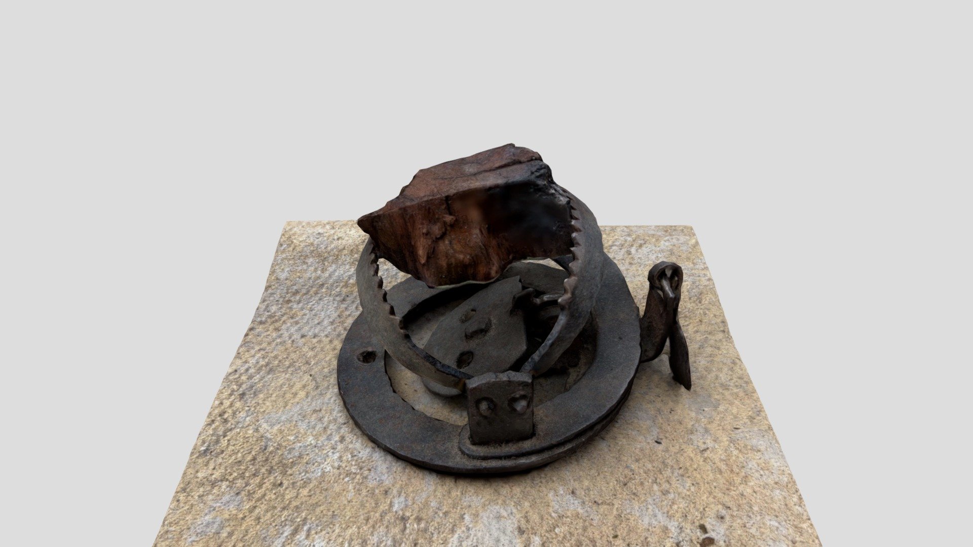 Animal trap