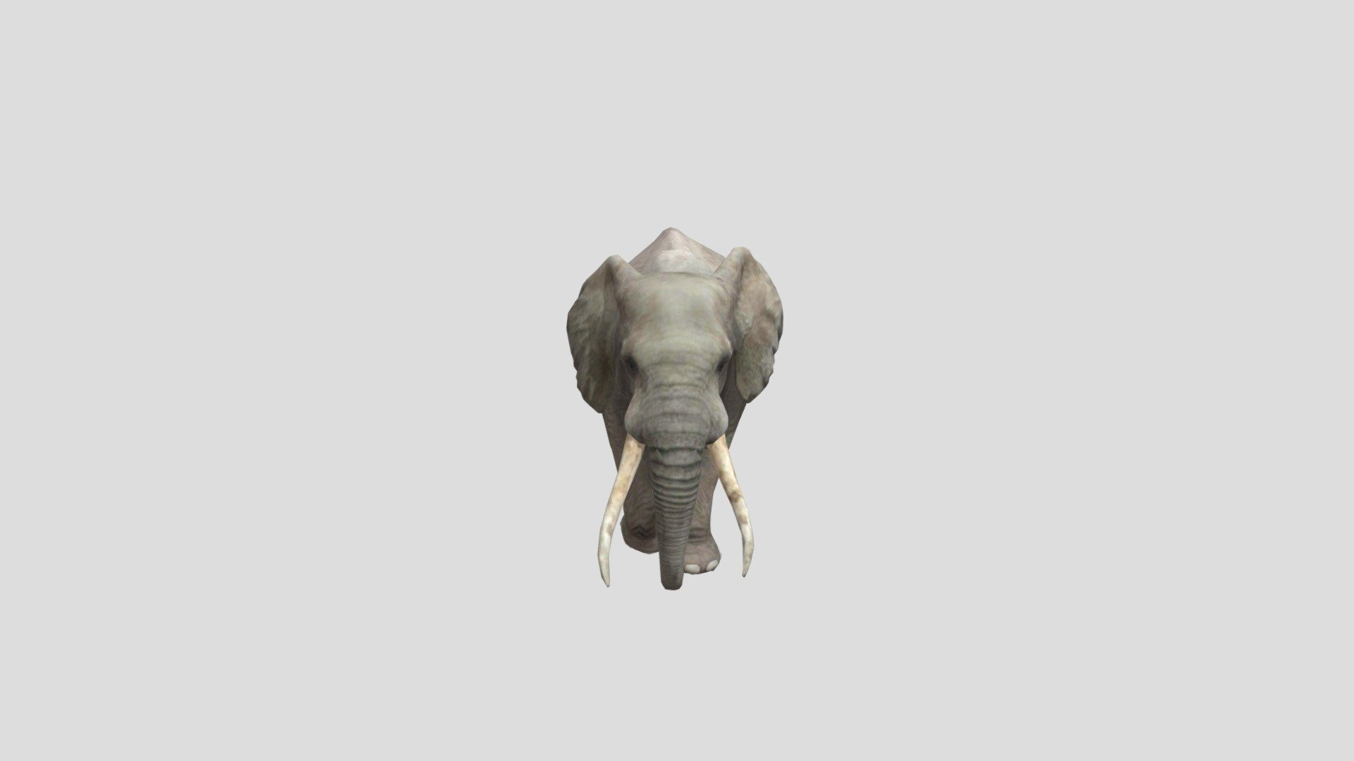 African Bush Elephant - Download Free 3D model by planeta-elefante ...