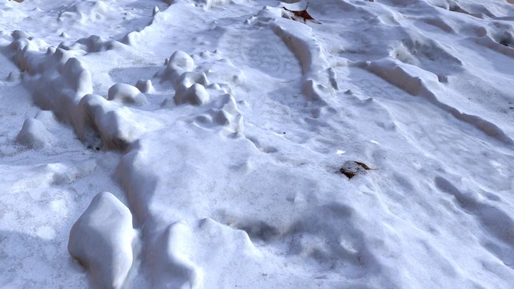 Snow Tracks 3D Model