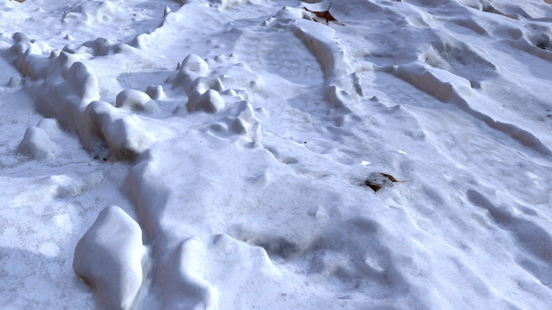 Snow Tracks