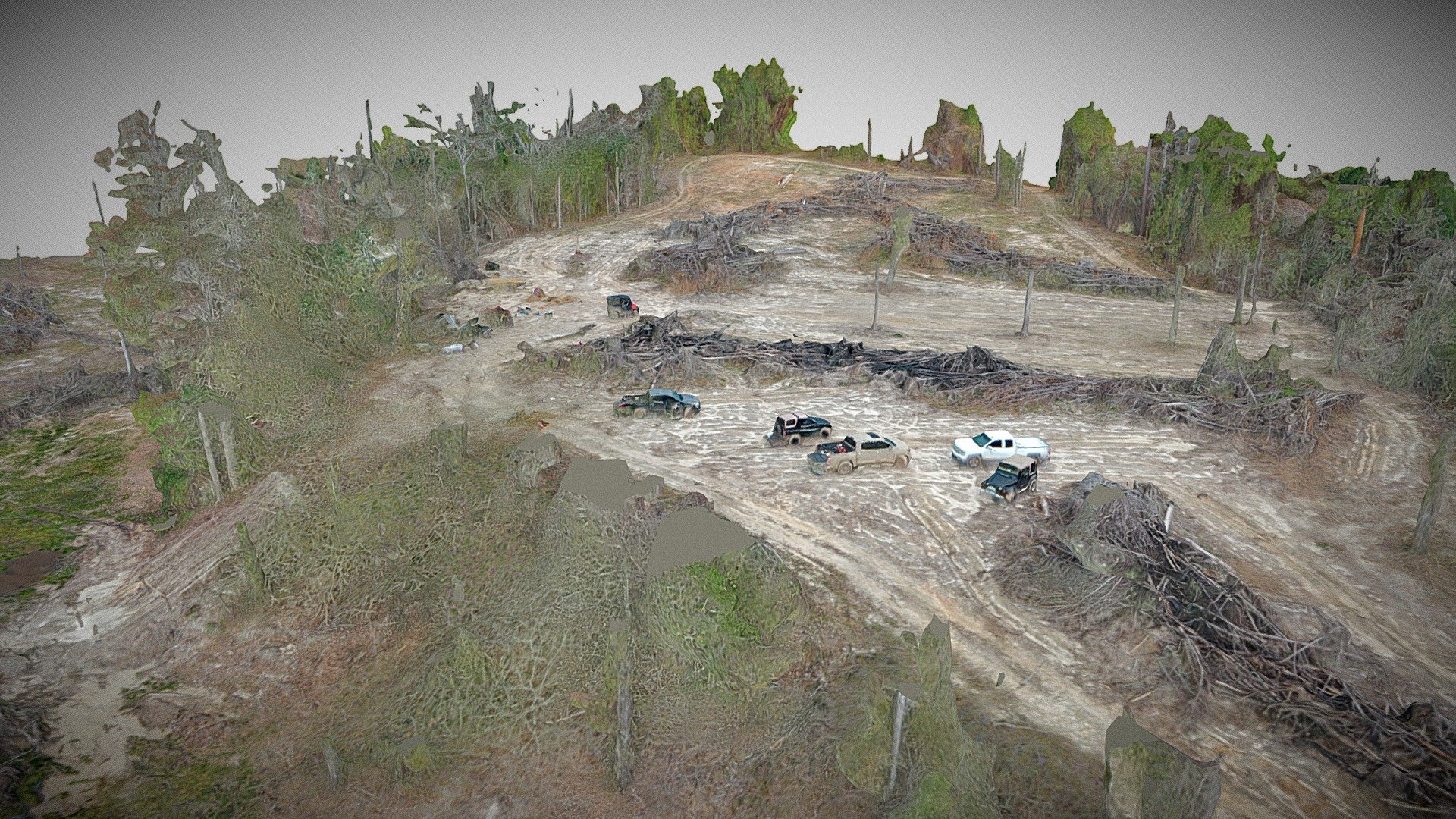 Aerial - Tree Canopy Partially Removed