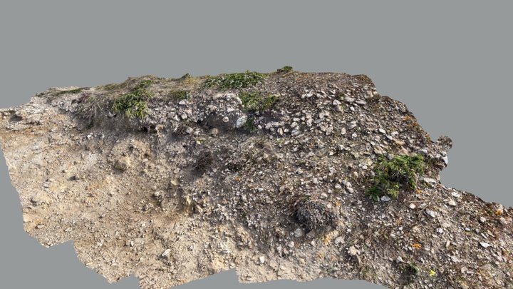 Beach-rocks03 3D Model