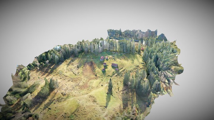 Skogfinneplassen Mikkelrud kulturlandskap 3D Model