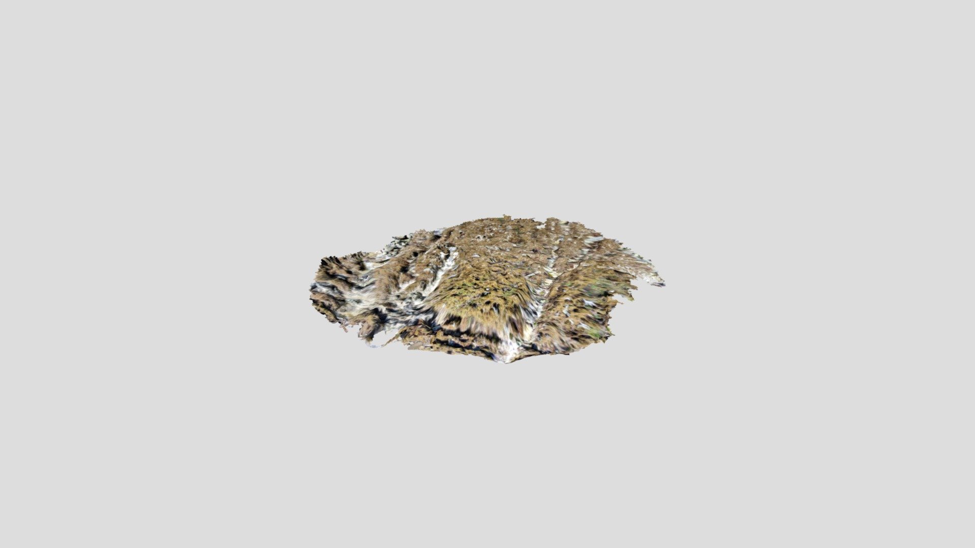 algaefloor1