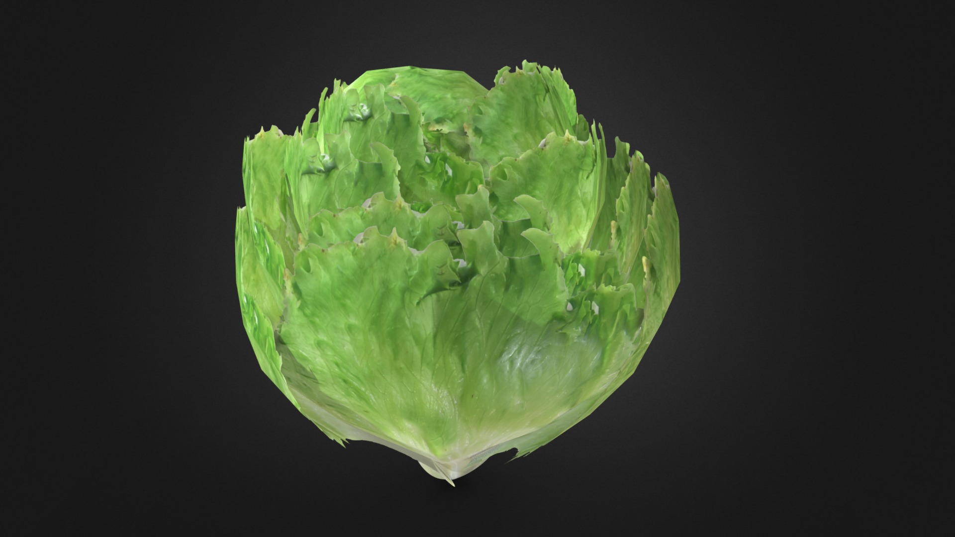 3D model Low poly lettuce - This is a 3D model of the Low poly lettuce. The 3D model is about a head of lettuce.