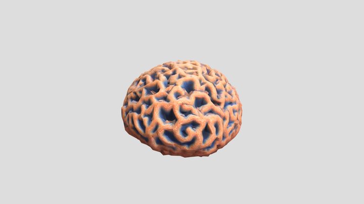 Coral 3D Model