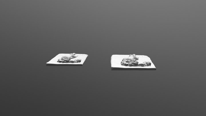 Sharp Fusion Náhled 3D Model