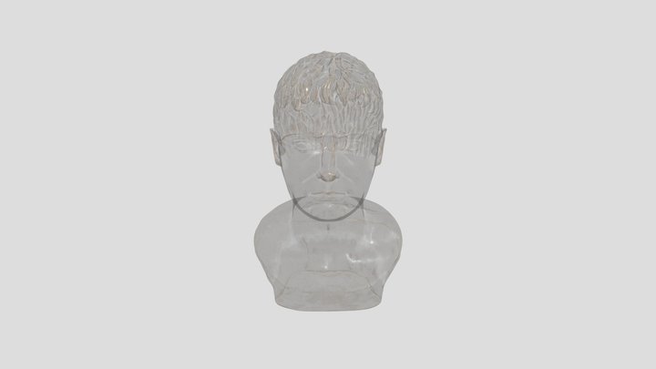 Faux Bronze Roman Reproduction Bust