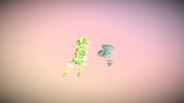 Wild Monstera 3D Model