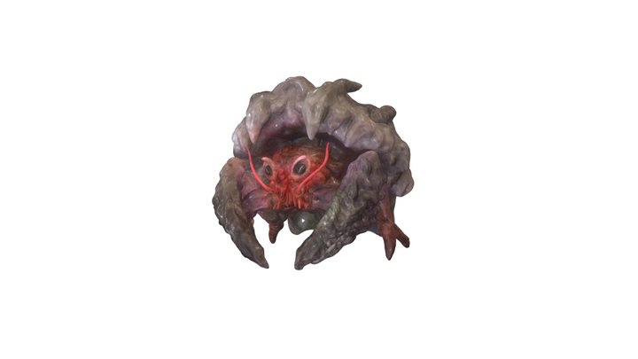 hermit crab 3D Model