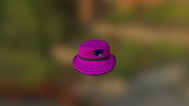 hat 3D Model