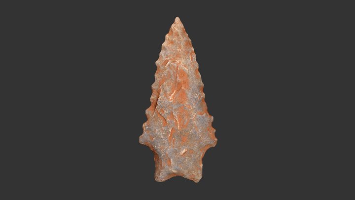 Kirk Serrated Projectile Point (2101a404-2) 3D Model