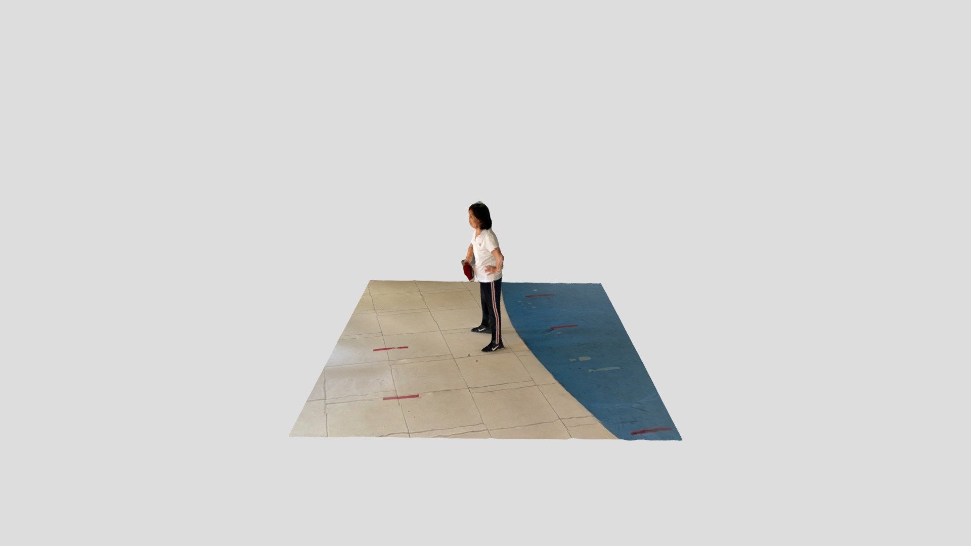 Polycam capture