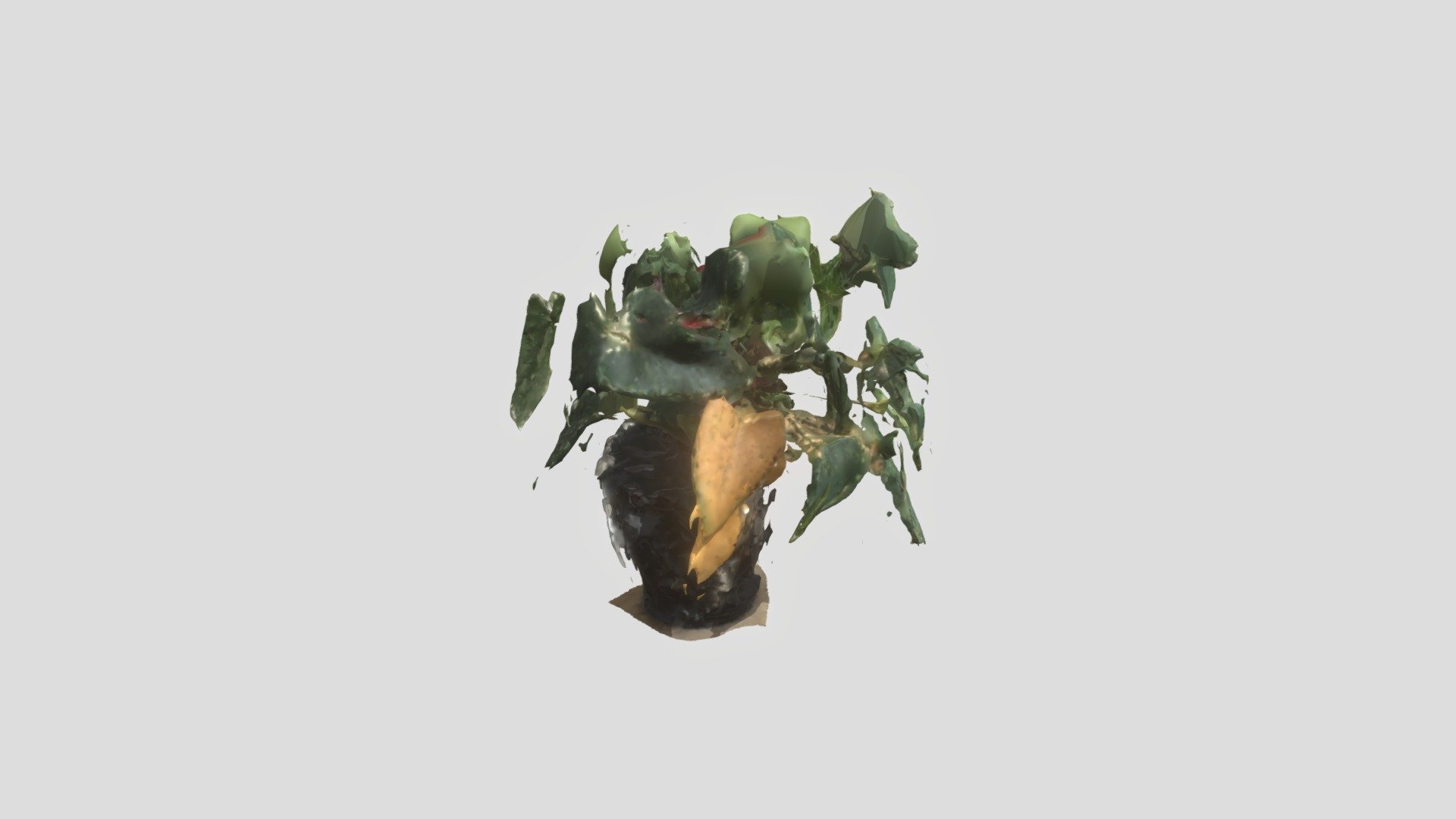 Plant 3 Yes!