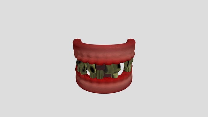arcada dentaria4 3D Model