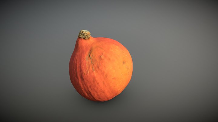 Pumpkin Hokkaido
