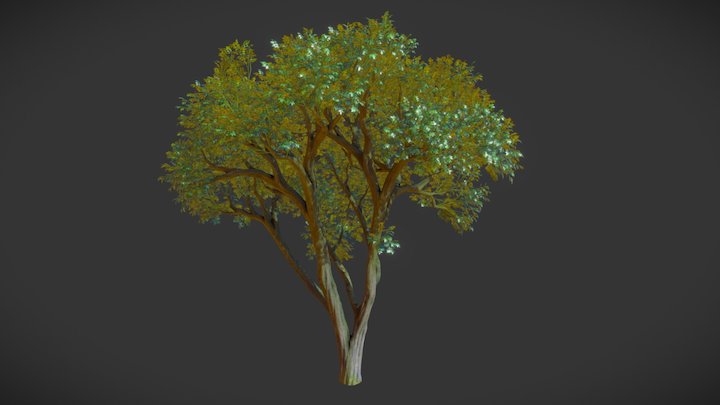 Tree scan test 3D Model