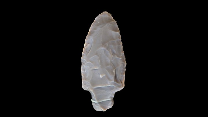 Georgetown Flint Stemmed Point 3D Model
