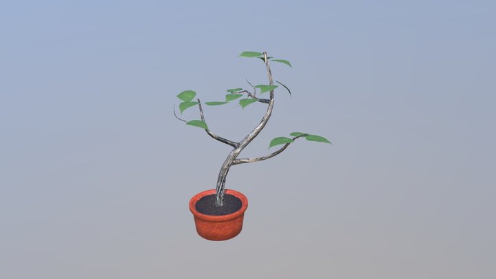 A13 Plant 3D Model