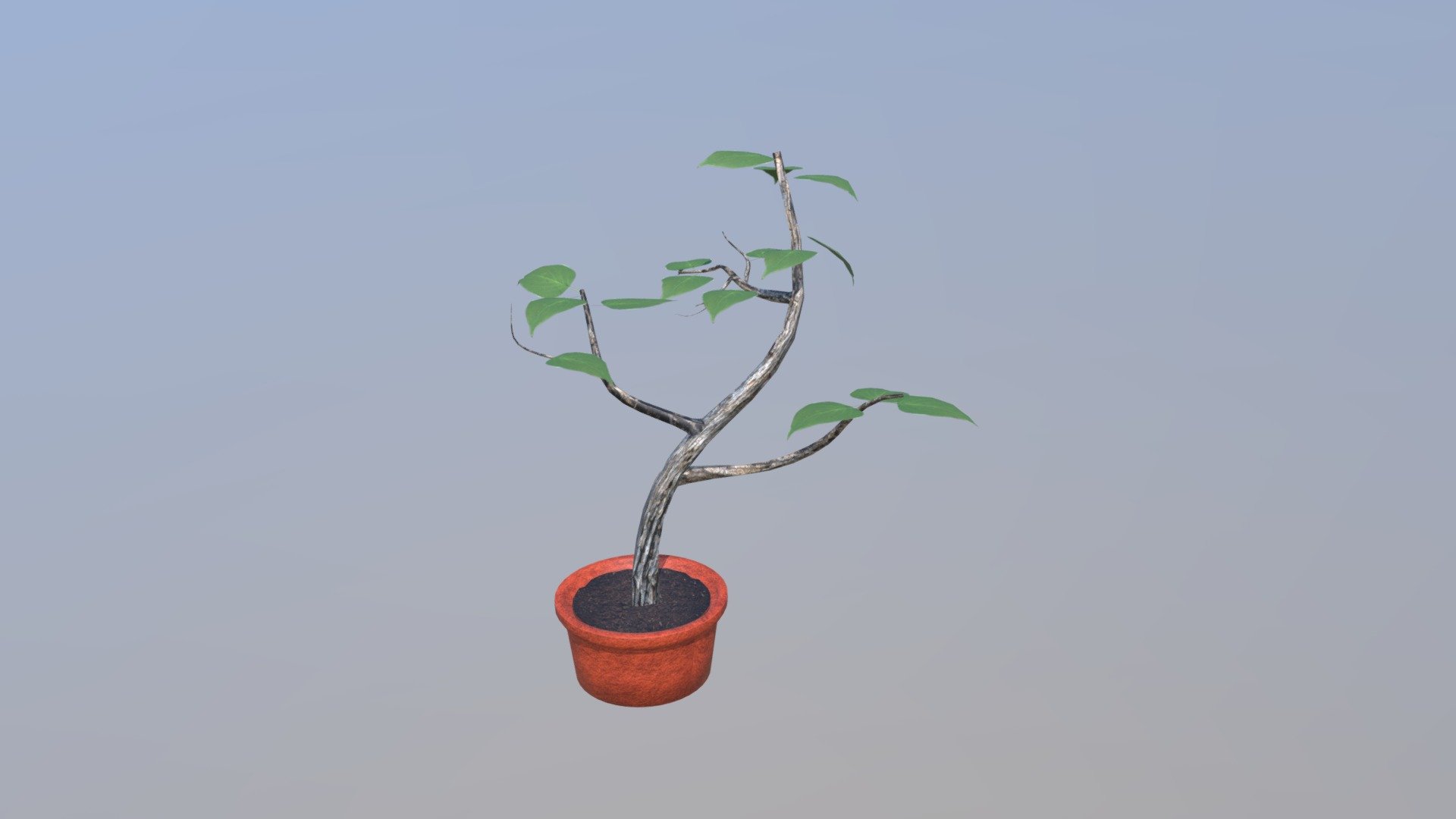 A13 Plant