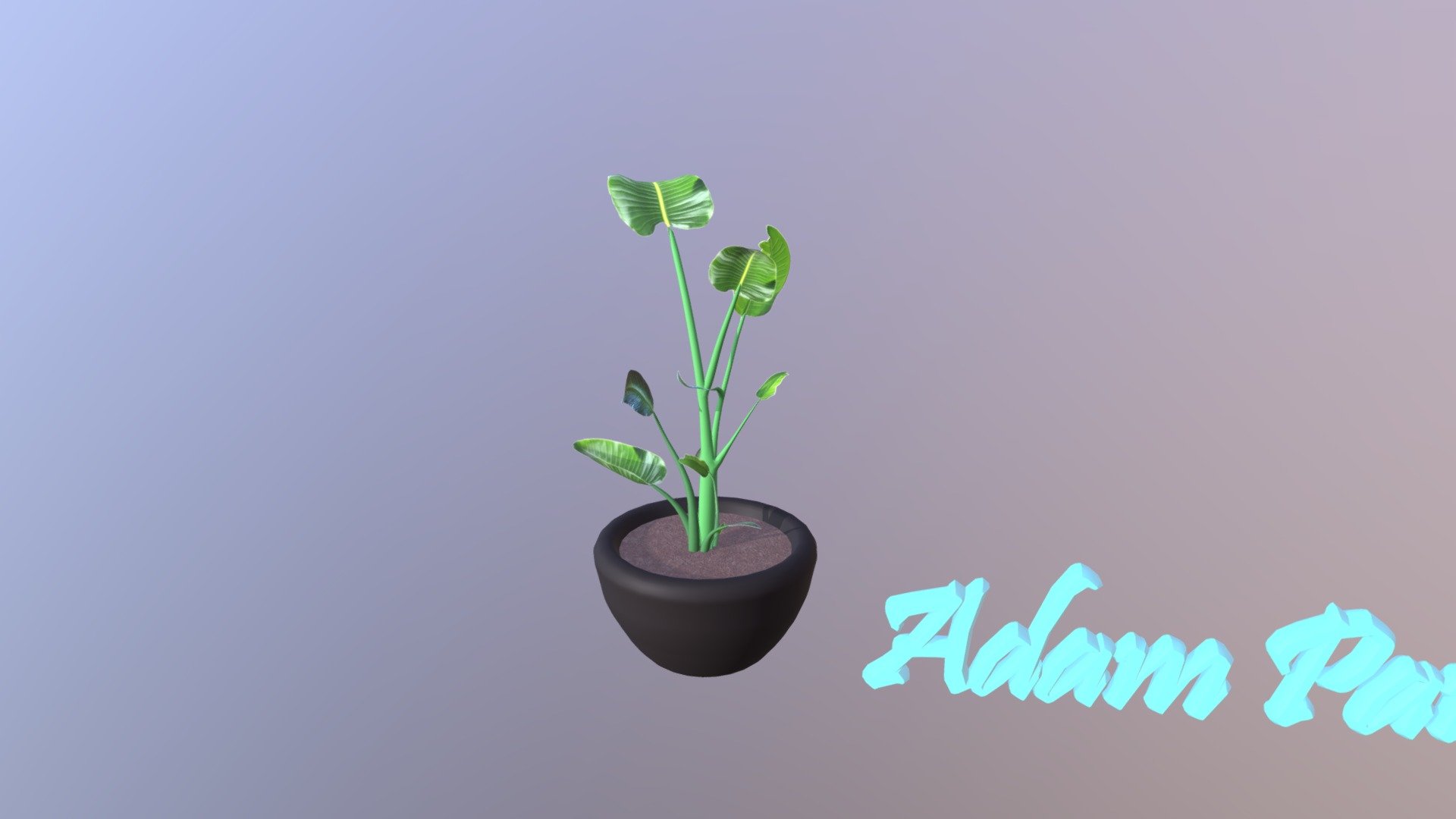 Wk8 Plant Pawlak Adam