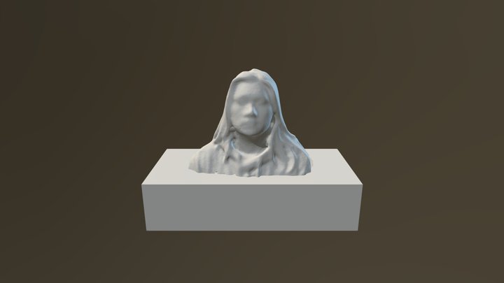 Nou 3D Scan Bust 3D Model