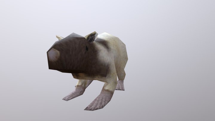 Rat animation
