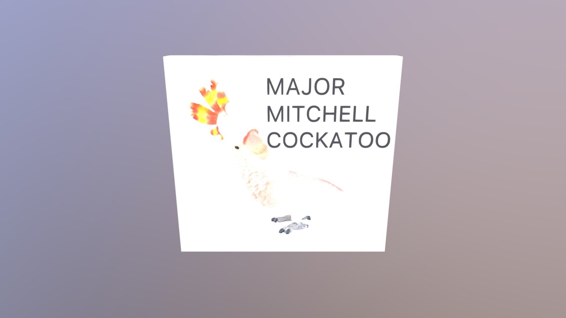 指示牌PINK COCKATOO
