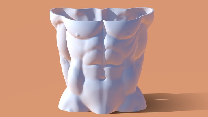Maletorso Muscular Vase 3D Model