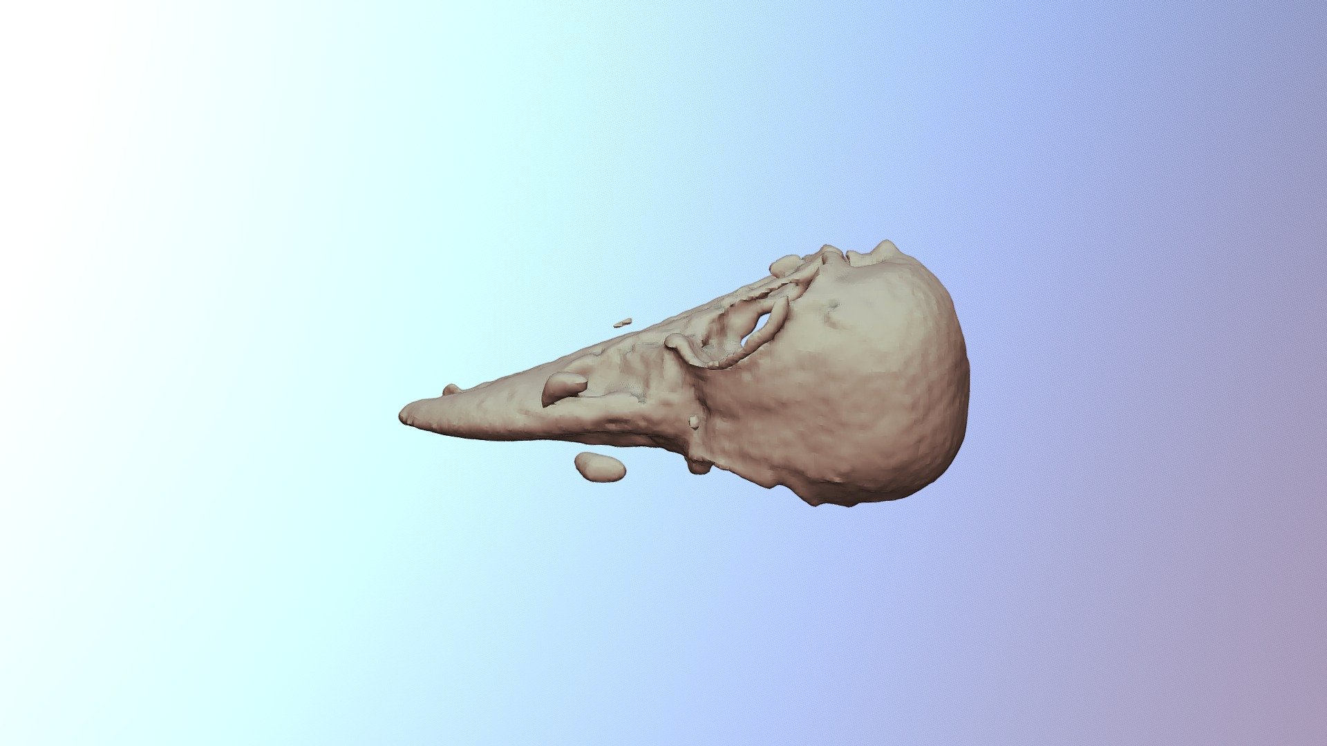 2E-Raven Skull-BC8130