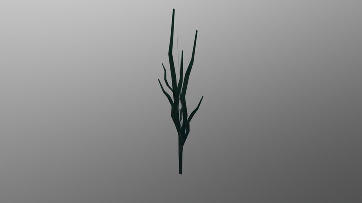 NMcKee_Seaweed2 3D Model