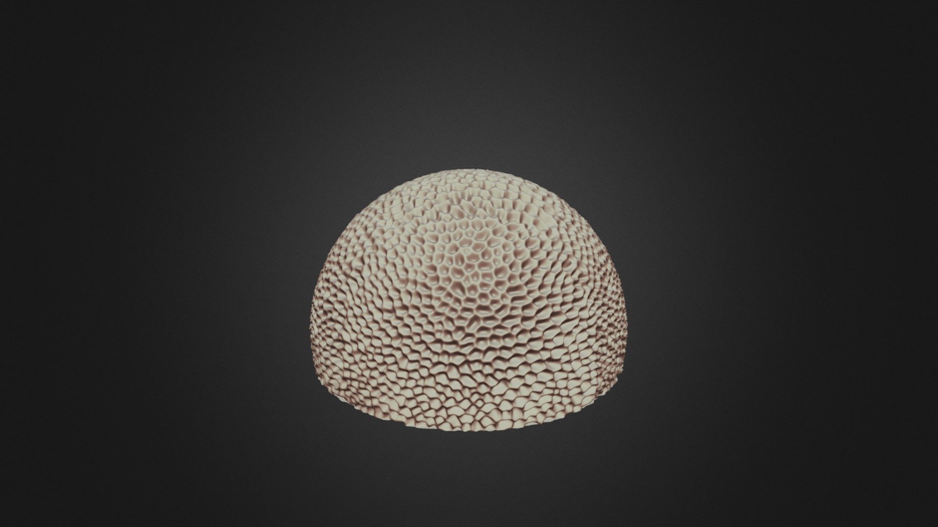 Semi-circle shaped coral