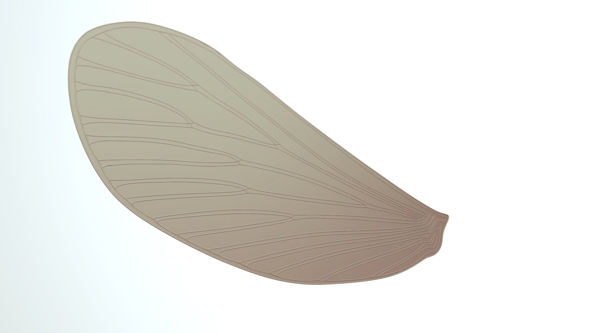 Fly Wing - Download Free 3D model by smehaha [a1378a2] - Sketchfab