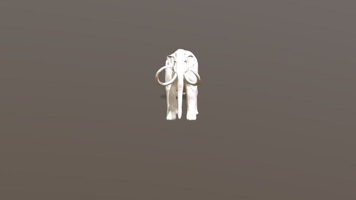 Mamuthus_mta 3D Model