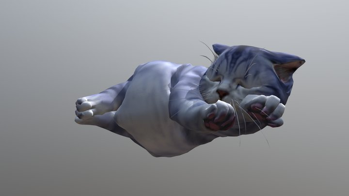 Bluecat Sleeping 3D Model