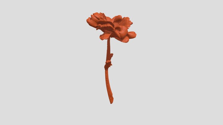 Orange Flower 3D Model